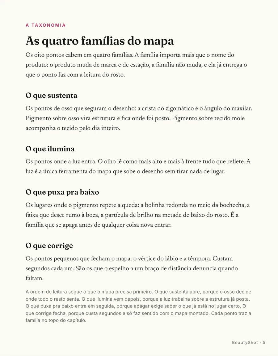 O mapa: As quatro famílias do mapa: o que sustenta, o que ilumina, o que puxa pra baixo e o que corrige